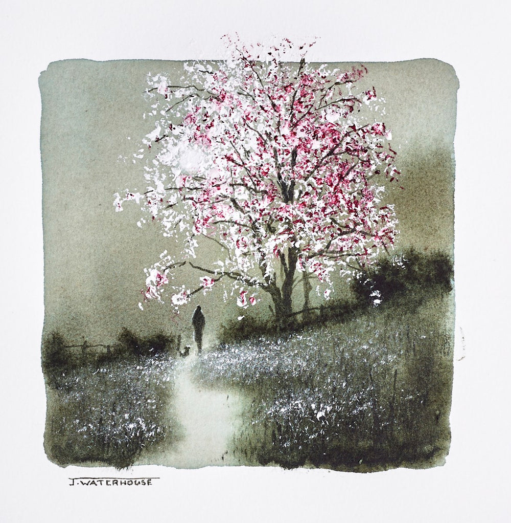 Beyond the Fairy Tree