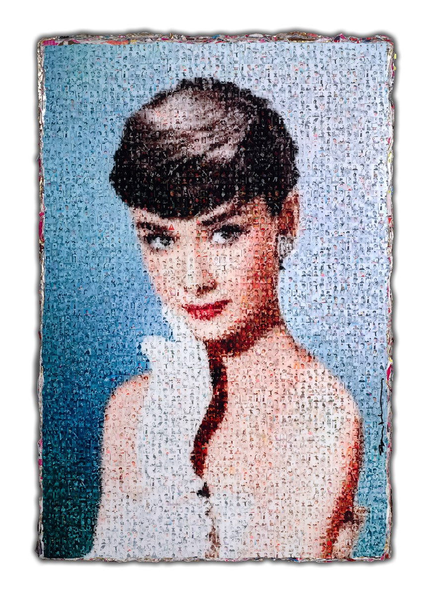 1000 x Audrey