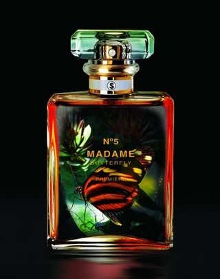 Madame Butterfly