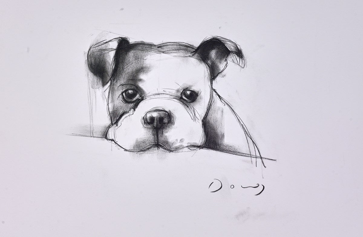 The Bulldog