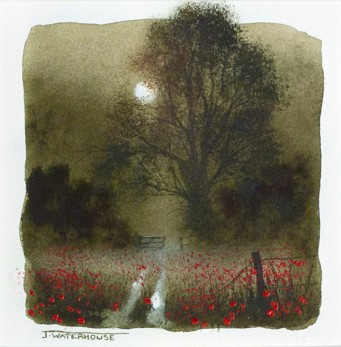 Poppies(study)