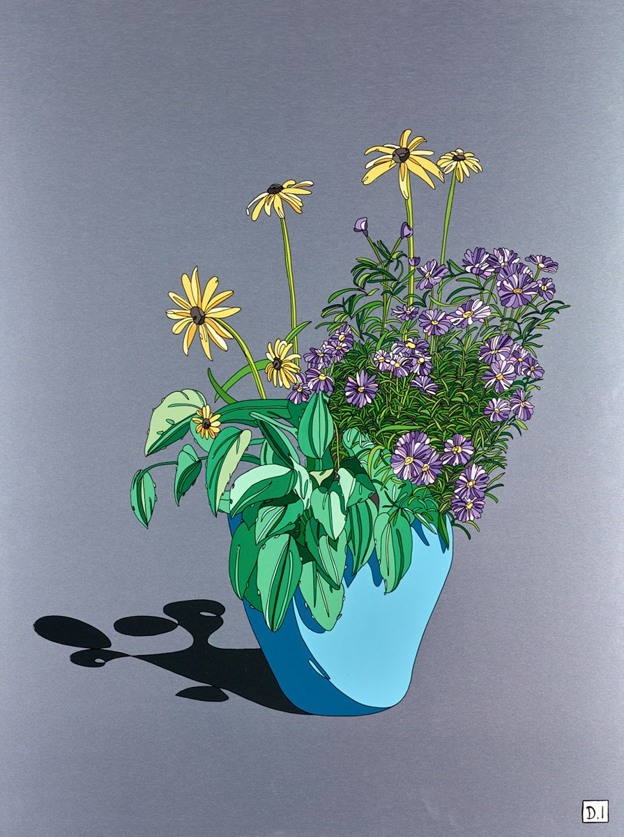 Black Eyed Susan