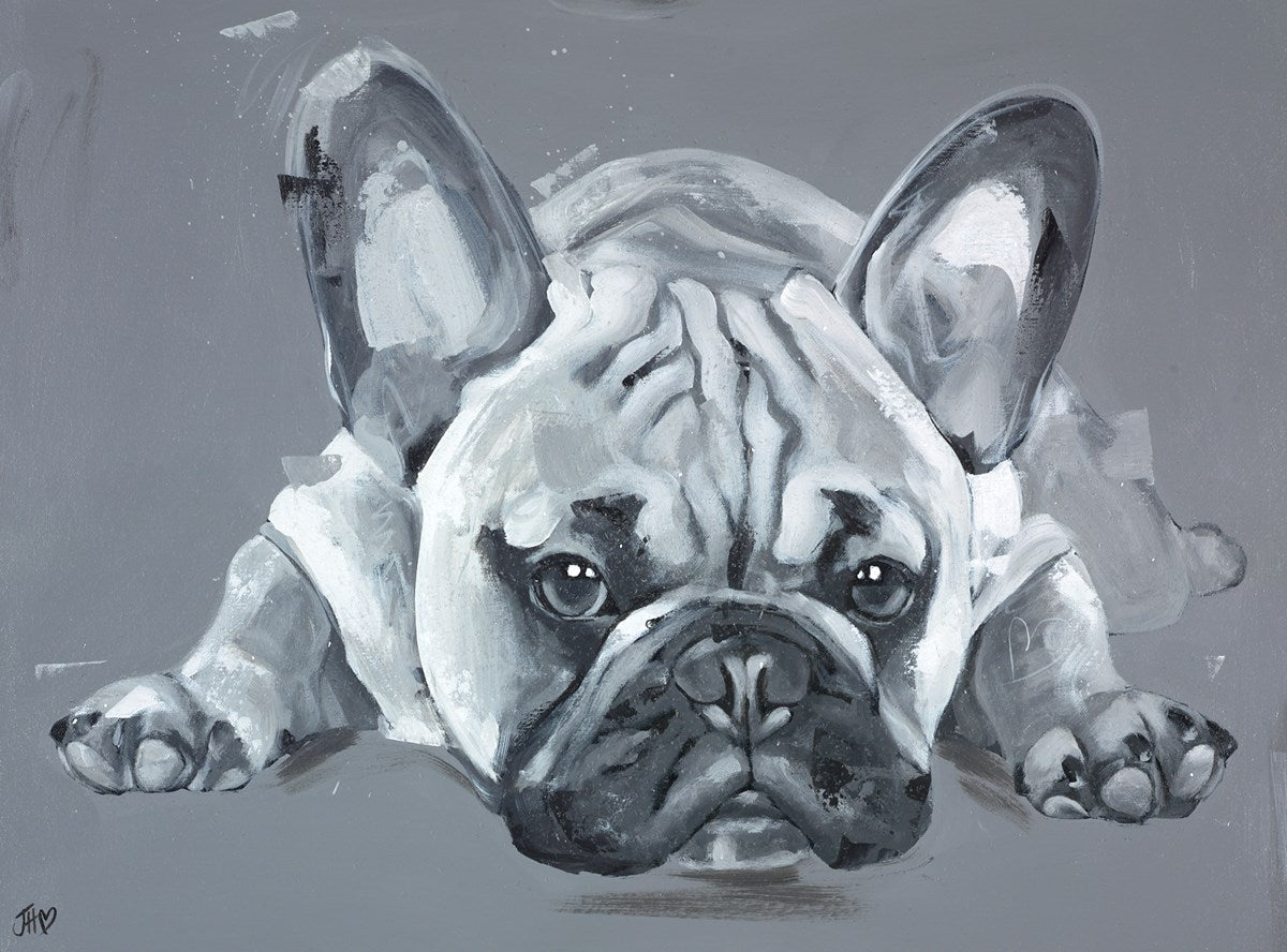 Diamonds Are A Frenchies Best Friend II