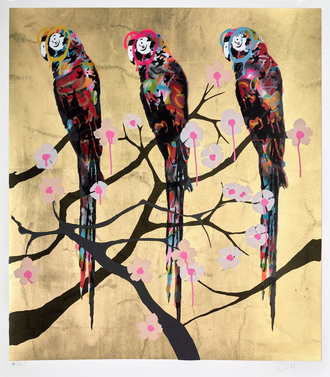 Polly Folly 20/25