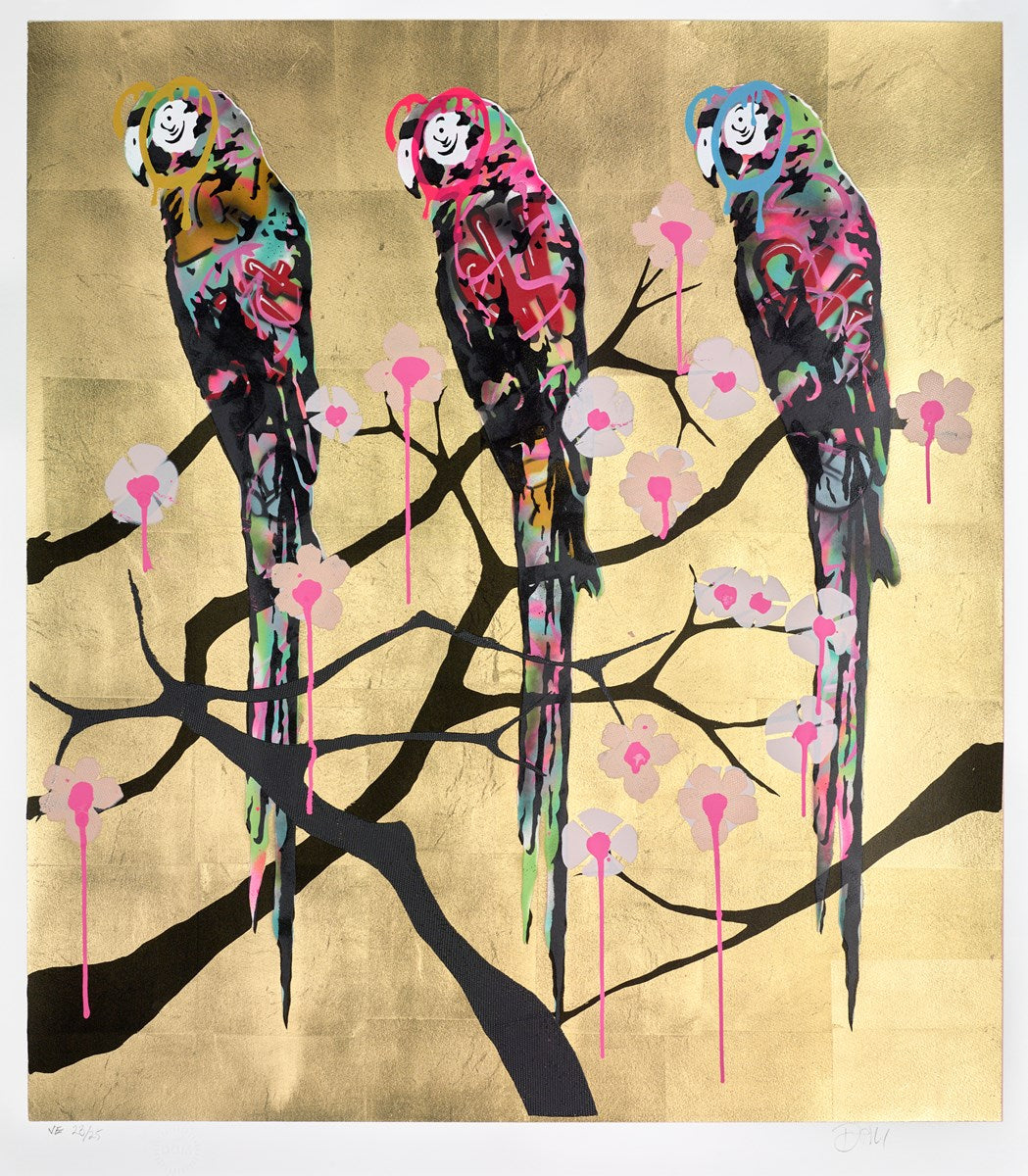 Polly Folly 23/25
