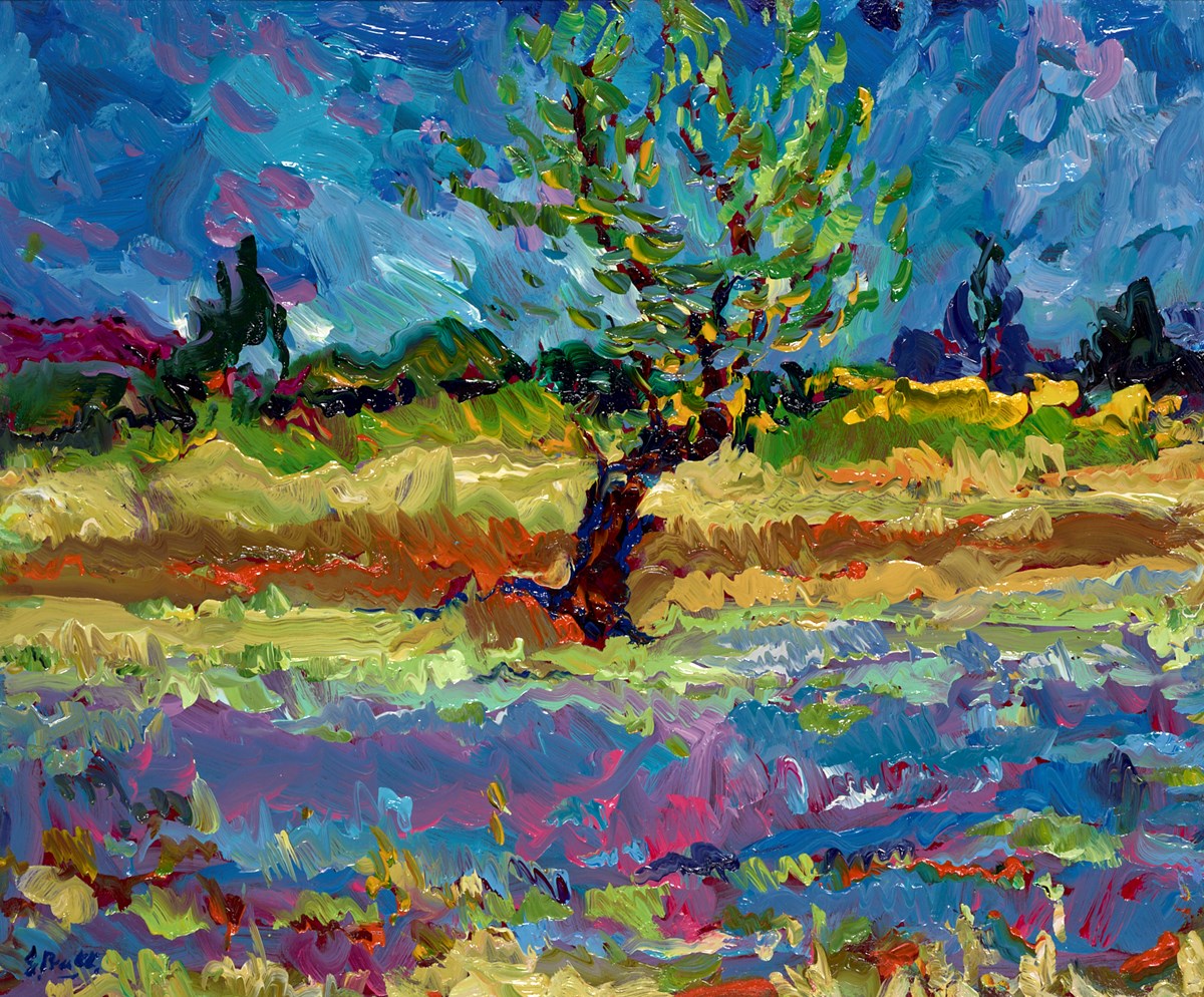 Lavande Provence Near Aurel, June 2022