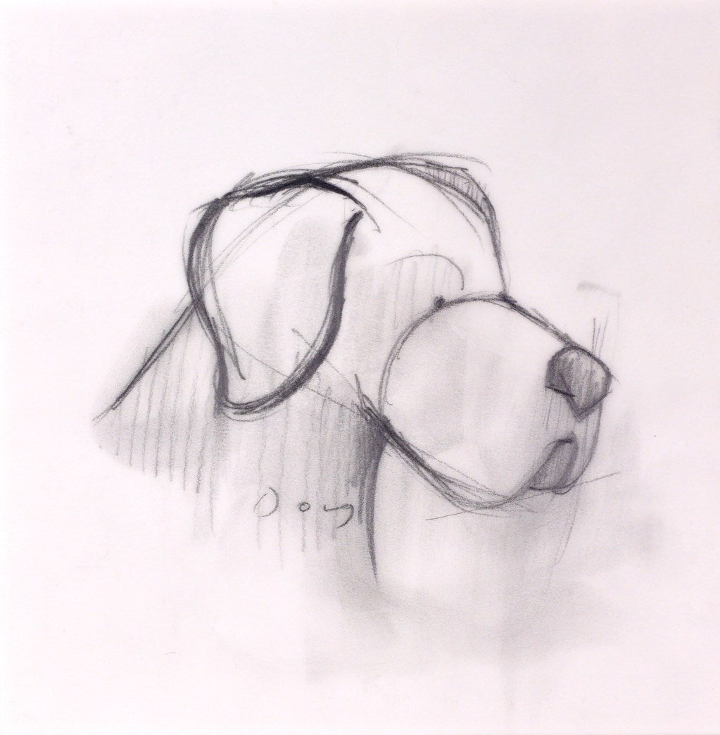 Always by your Side, dog (sketch)