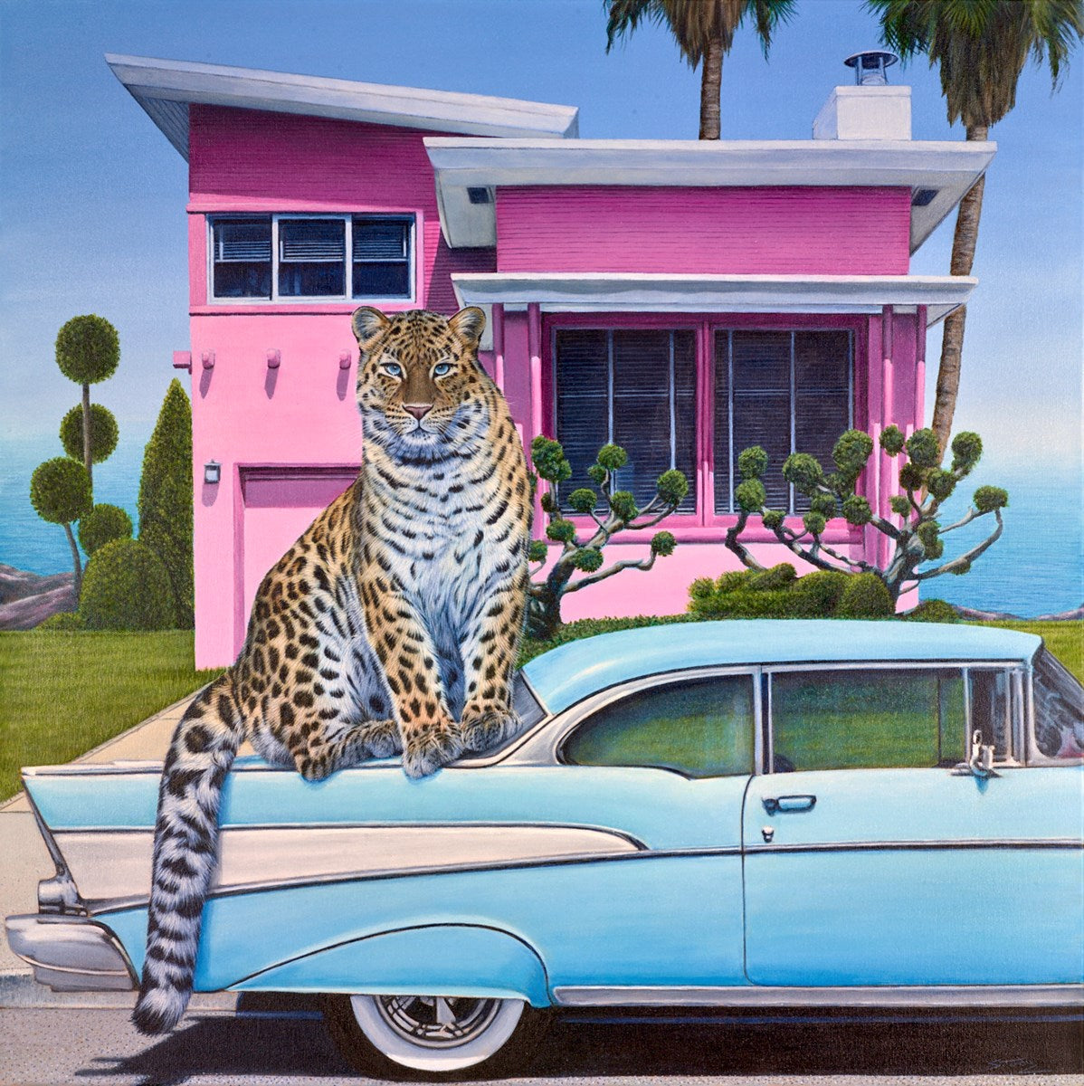 The Pink House
