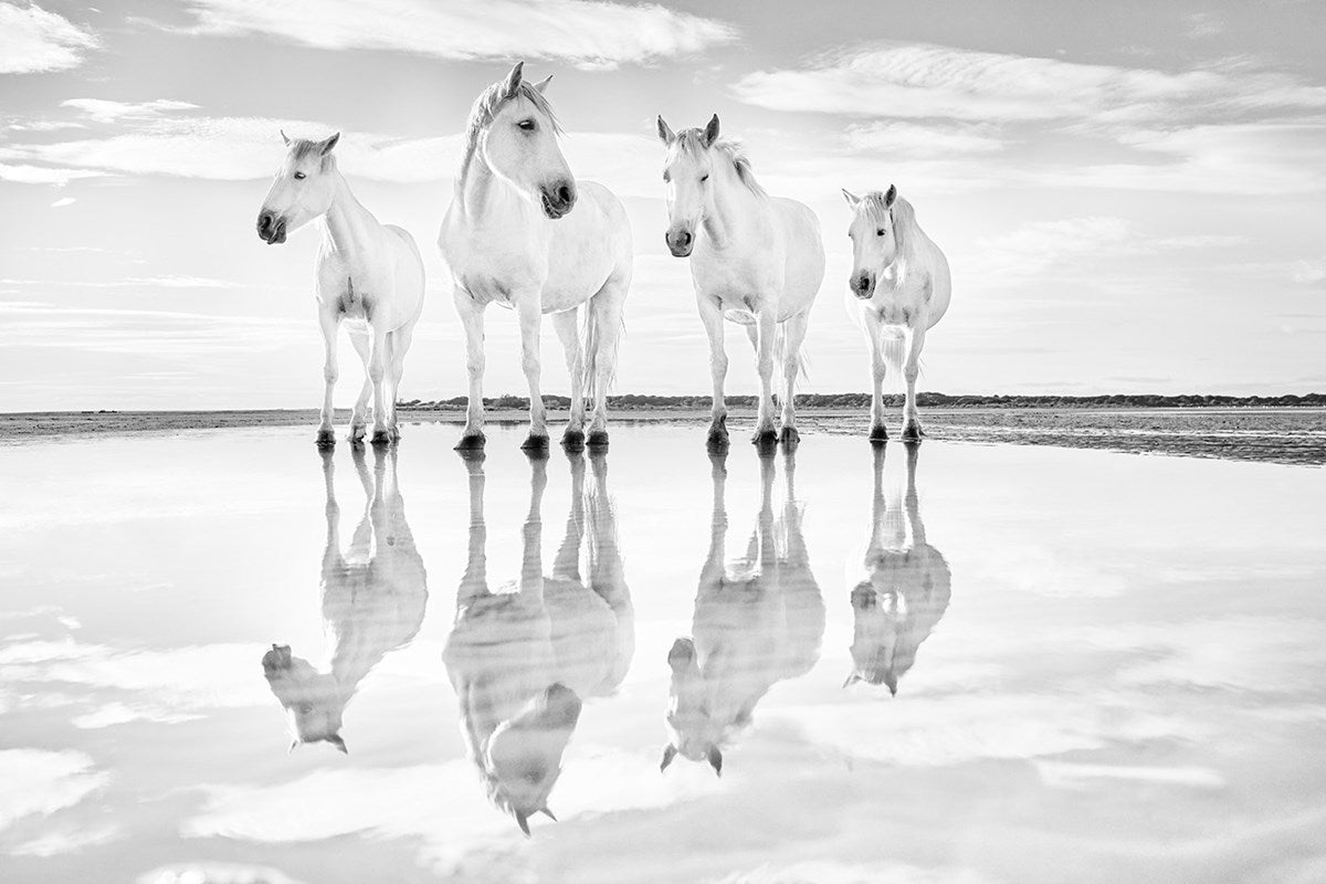 Calm Waters