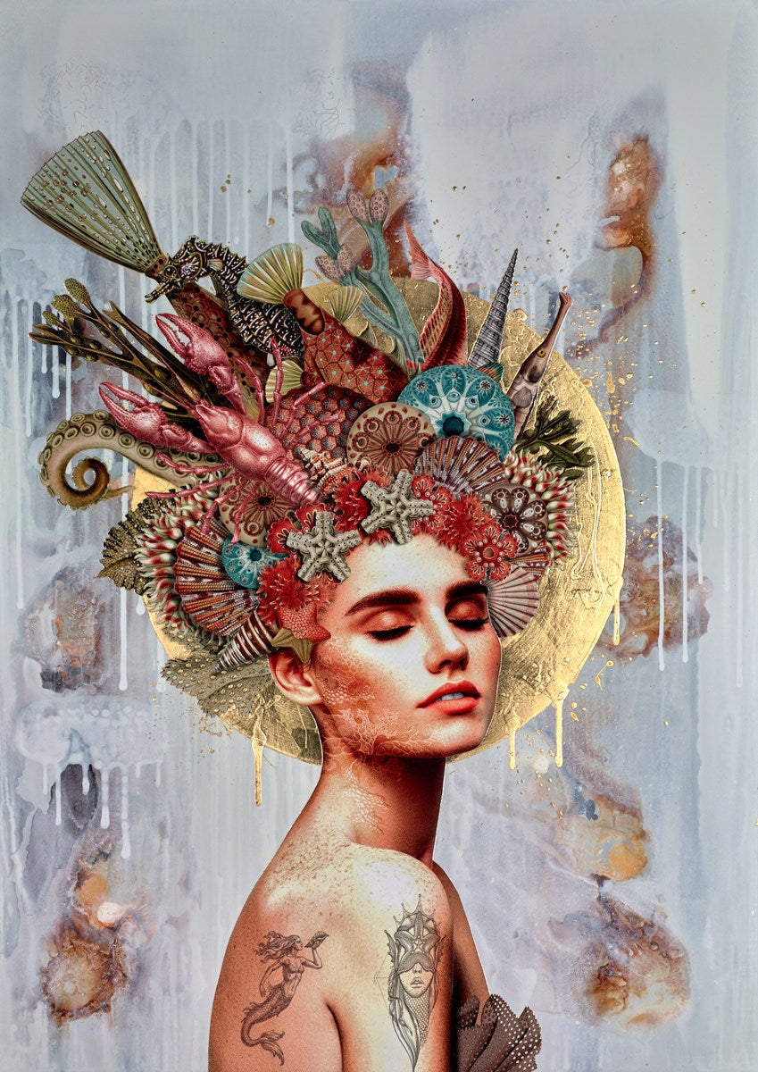 Ocean Dreamer