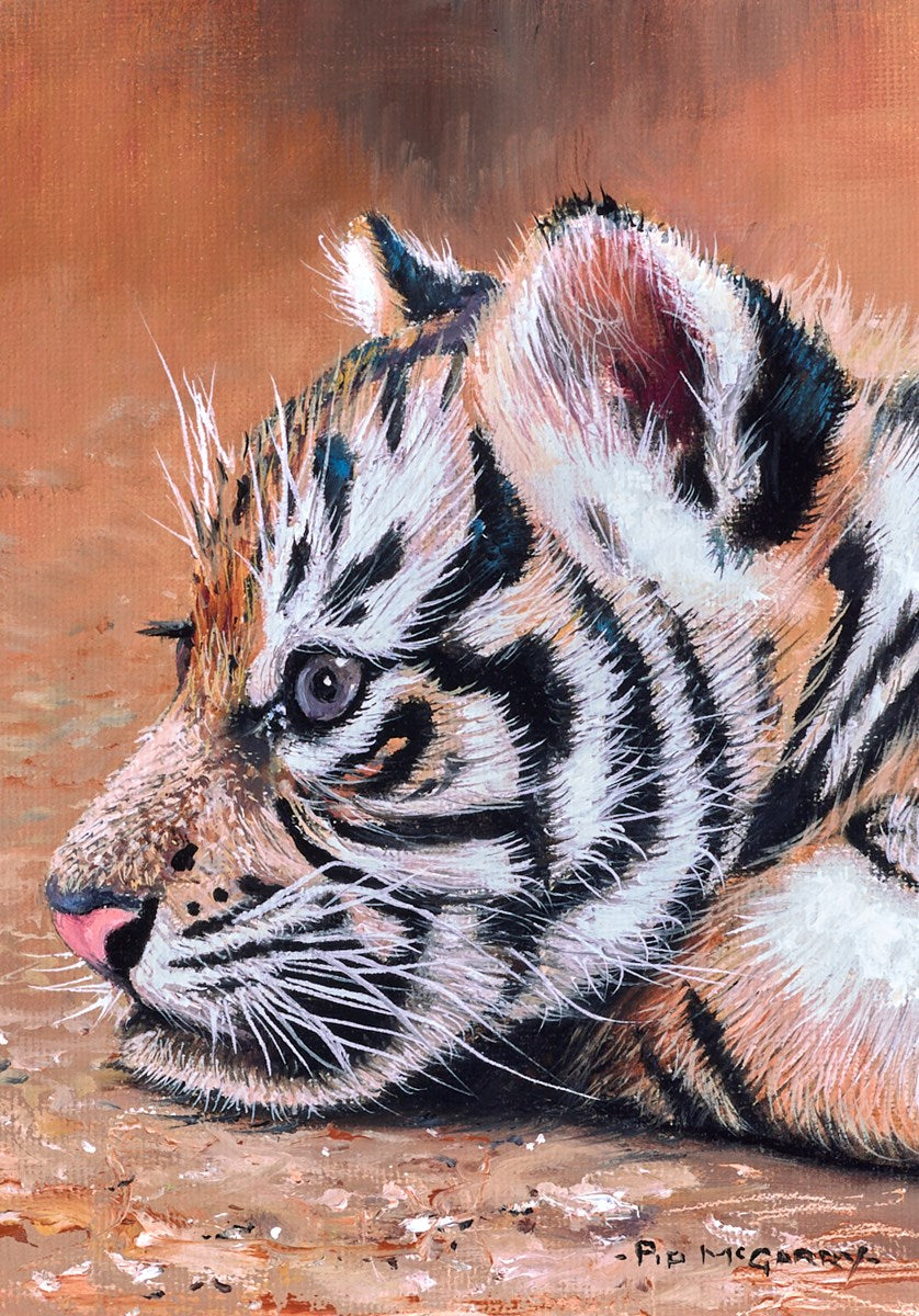 Tiger cub Days