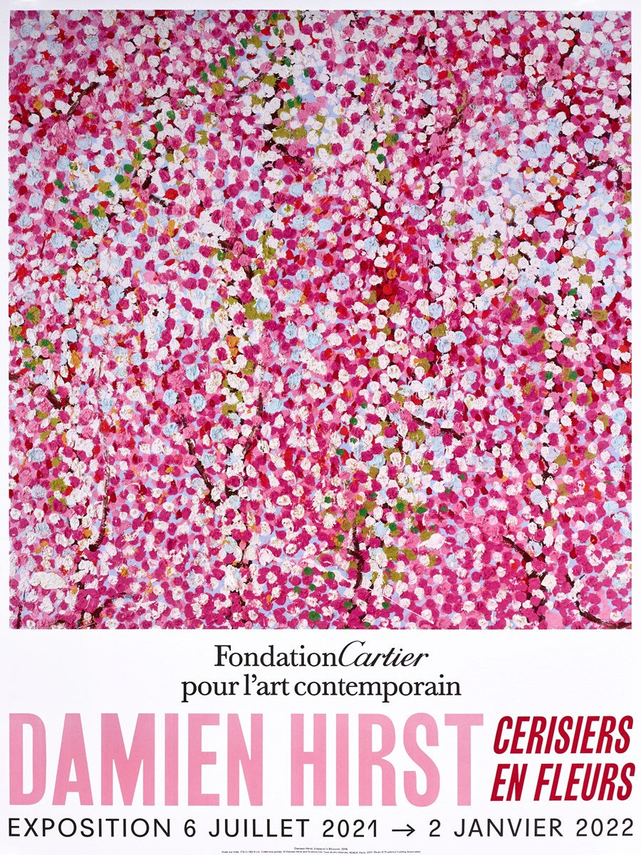 Cherry Blossoms