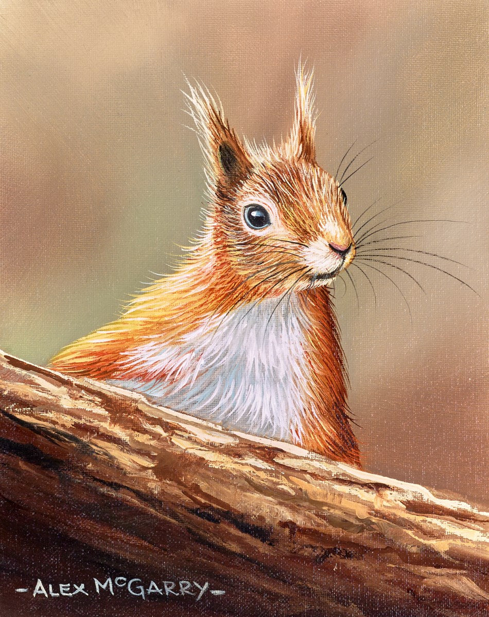 Red Squirrel III