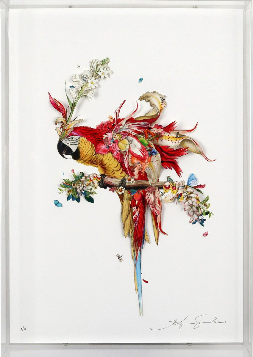 Botanical Harry Gin Bird II (Framed)