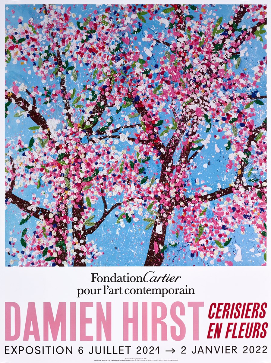 Cherry Blossoms III