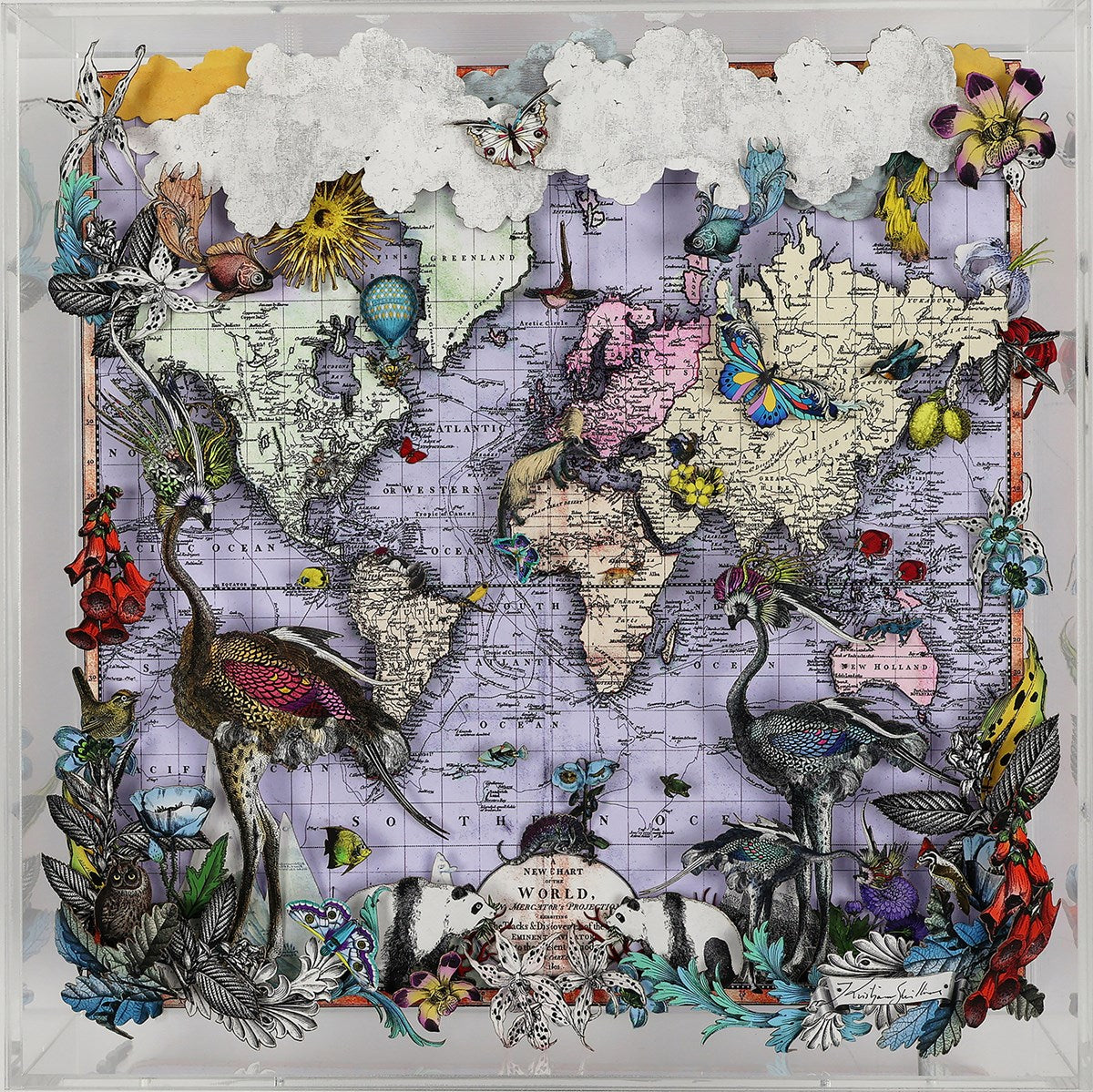 Navigators Floating Map - Ostrich Discoveries of the world