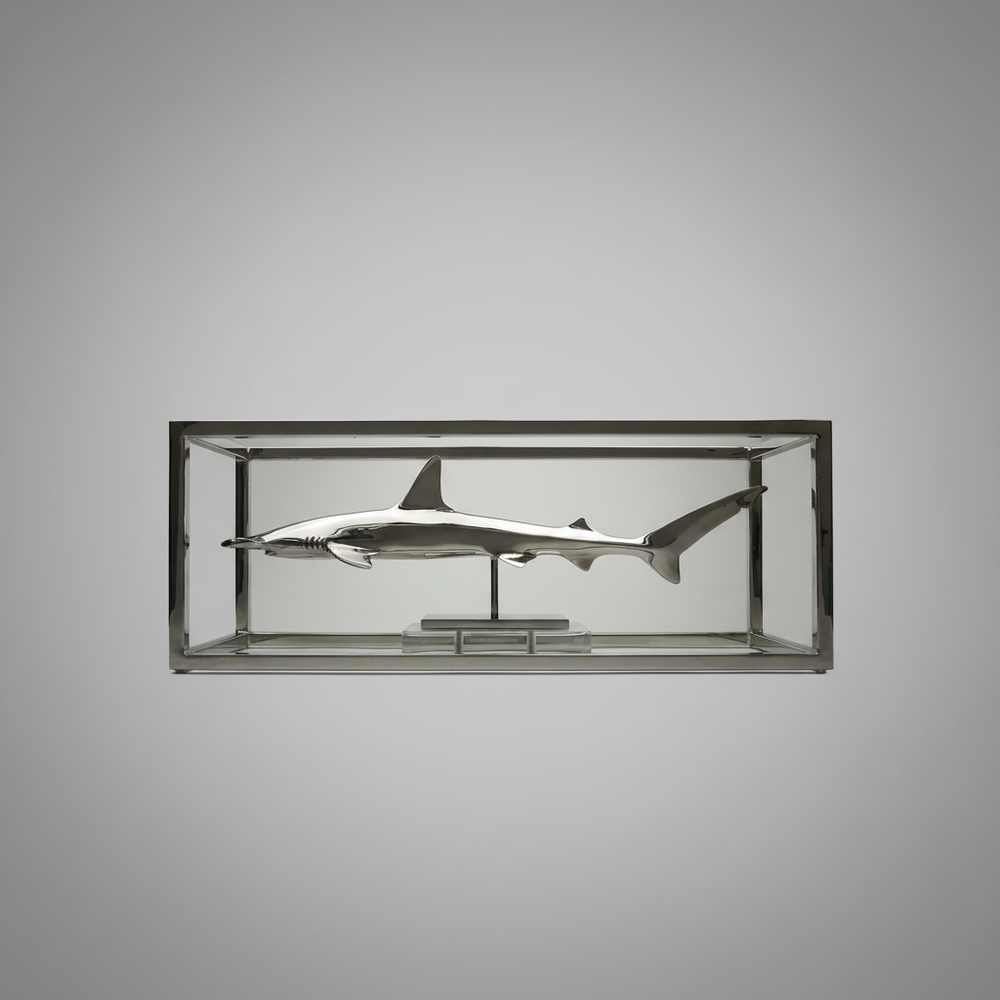 Hammerhead Shark