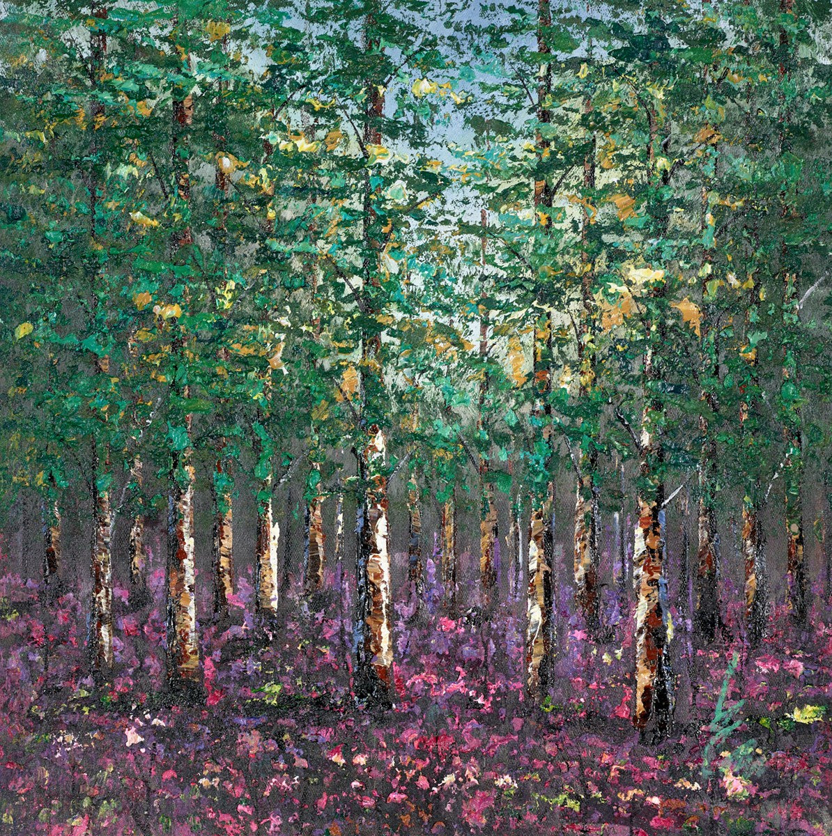 Shadows in the Grove