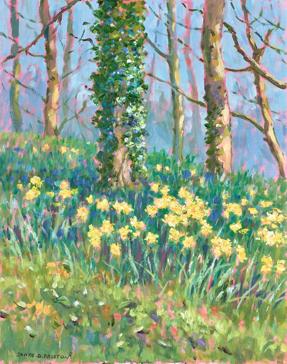 Daffs