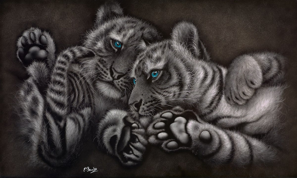 All Paws