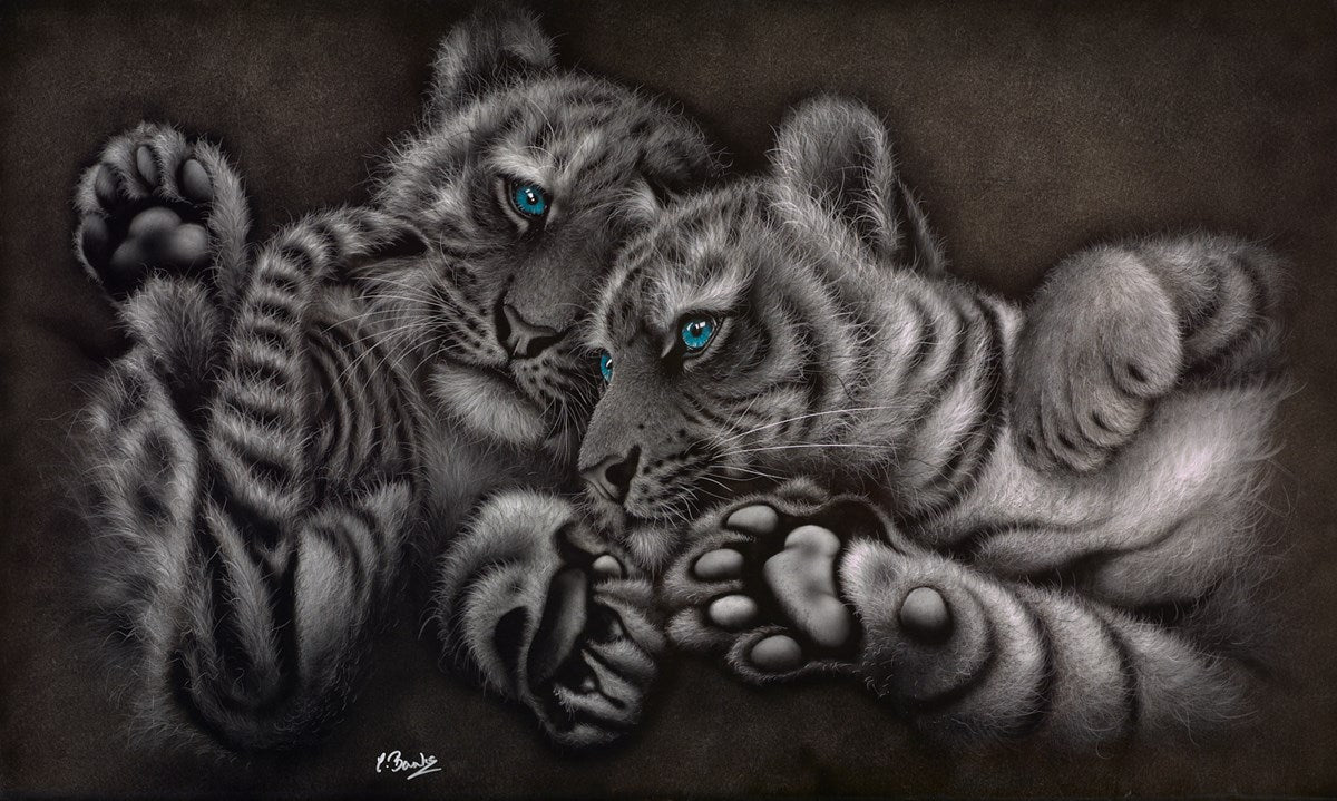 All Paws