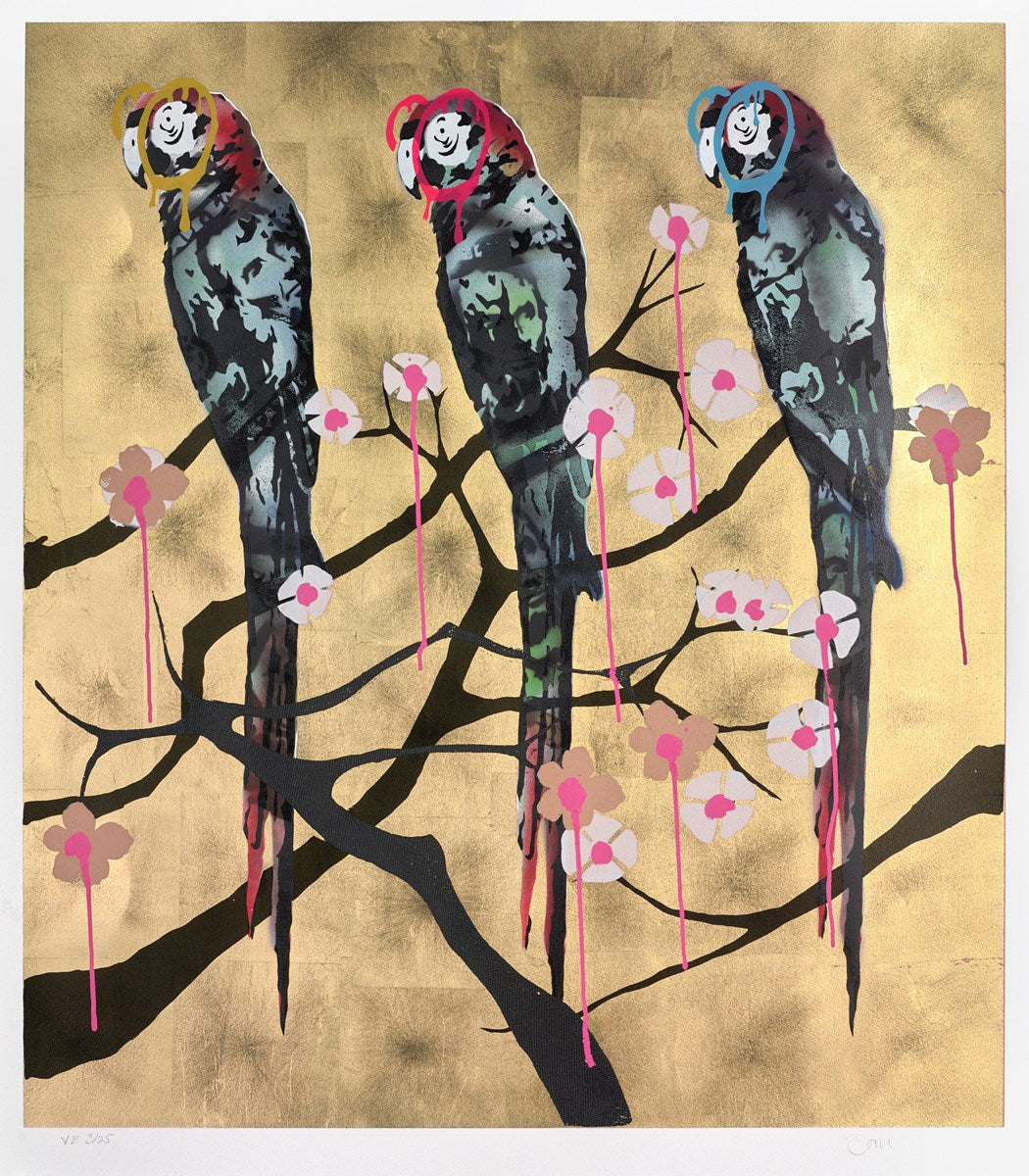 Polly Folly 3/25