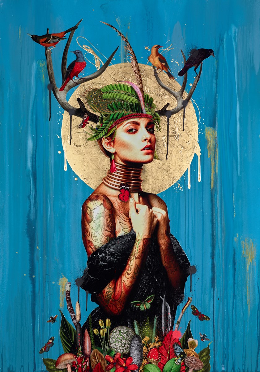 Spirit of the Forest