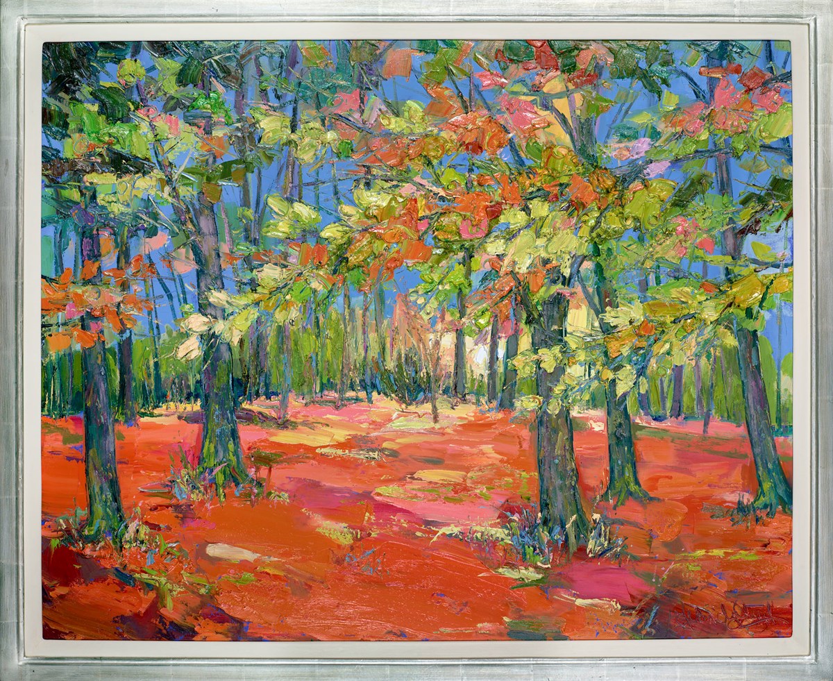 Autumn Forest