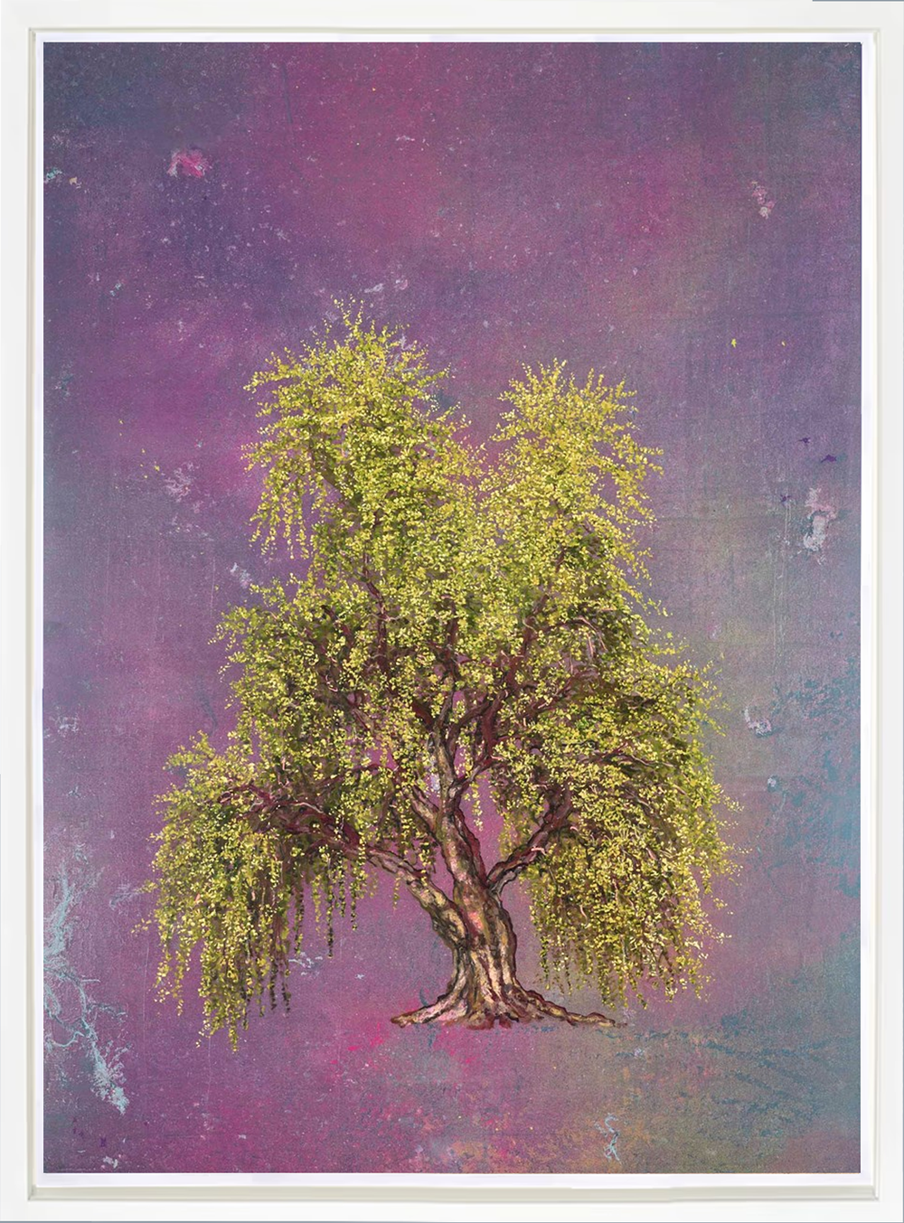 Weeping Willow
