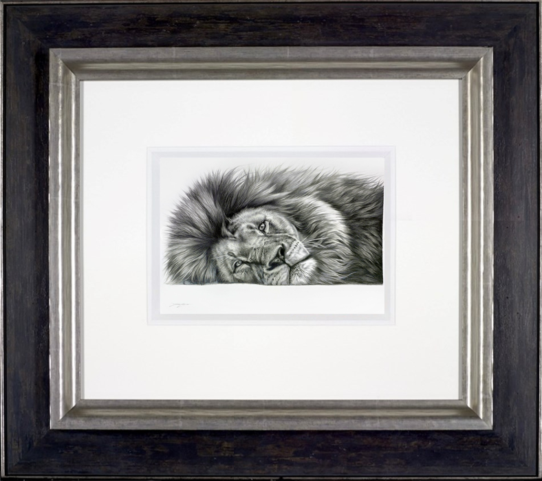 Relaxing Lion