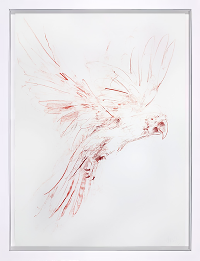 Flight Study I