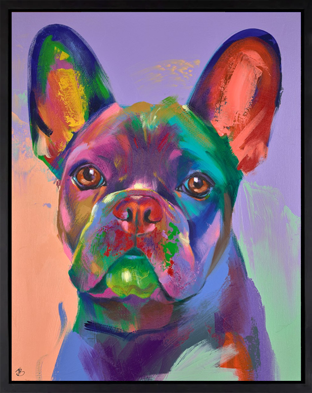 Frenchie Dreaming