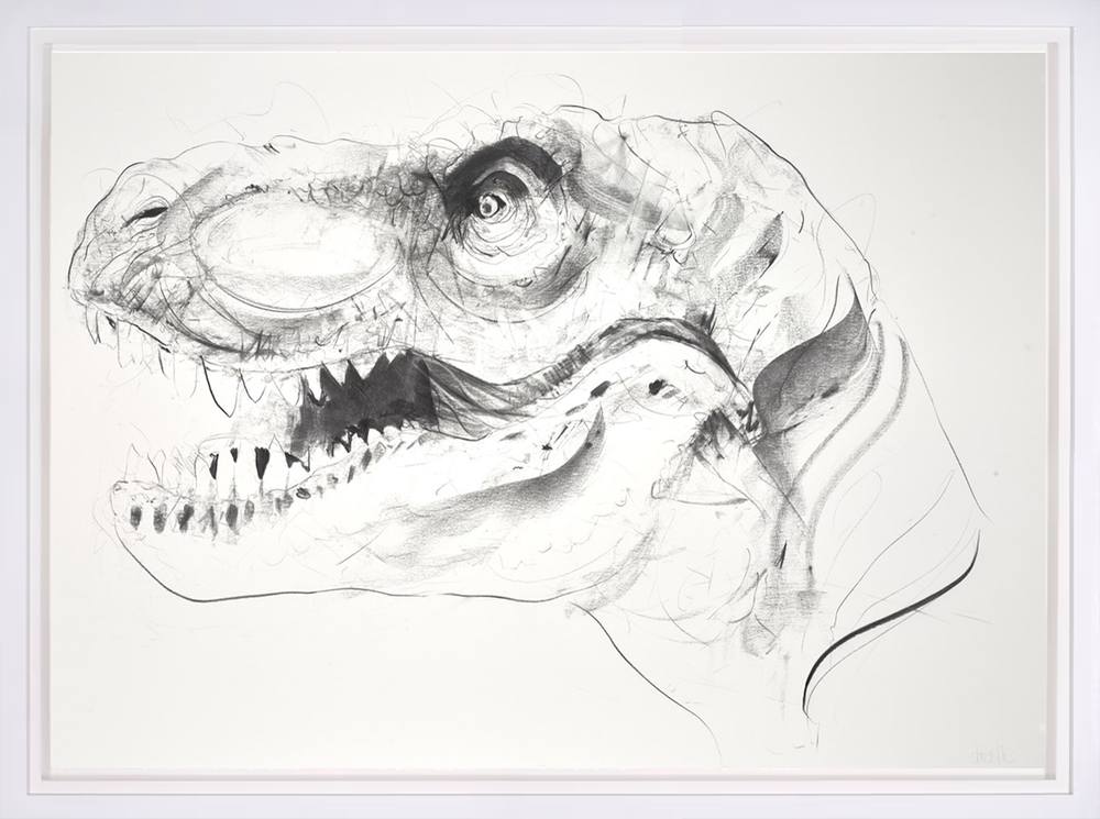 T Rex IX