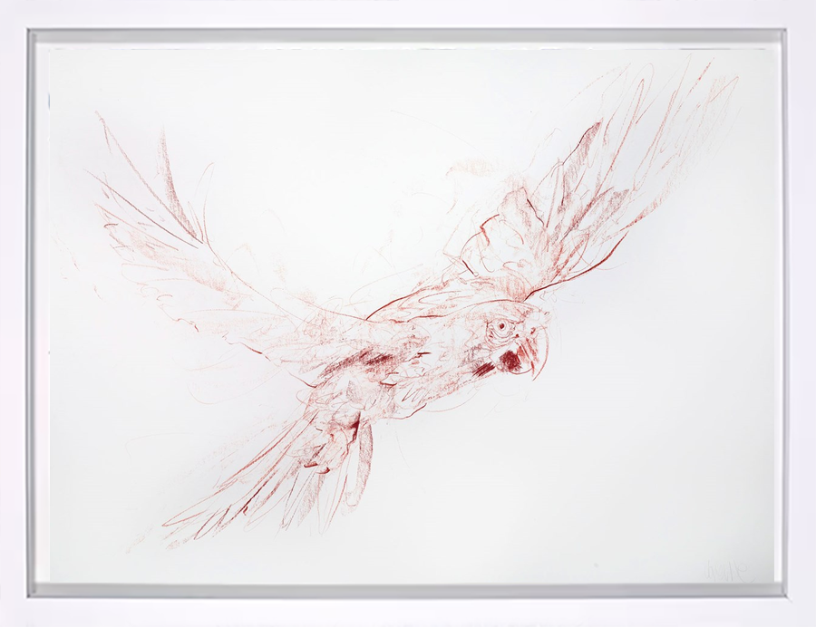 Flight Study II