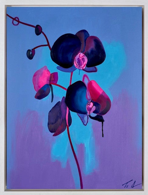 Black Orchid