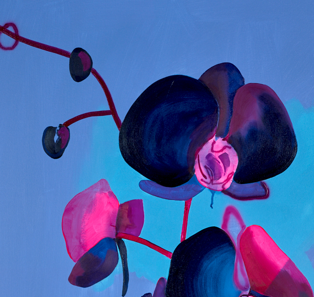 Black Orchid