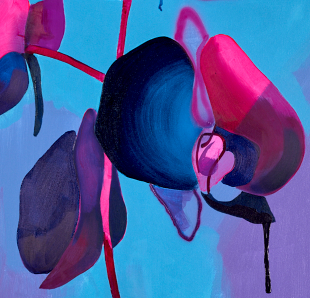 Black Orchid