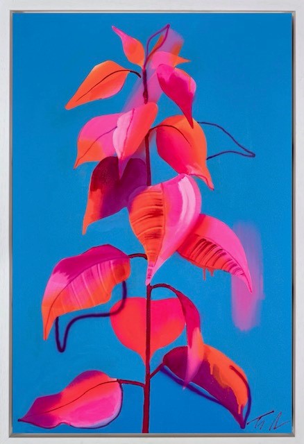 Naranja