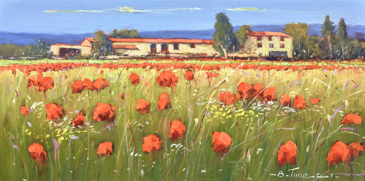 Vista panoramica del papavero IV