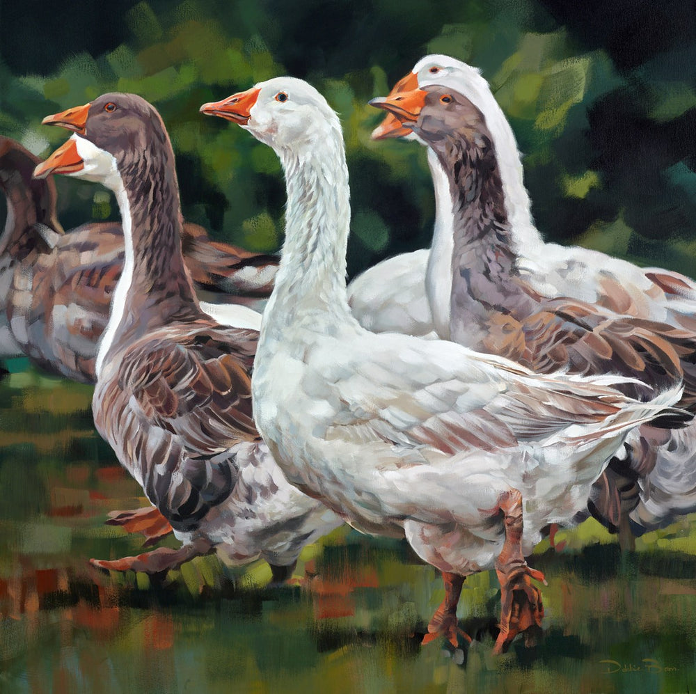 Gaggle of Geese