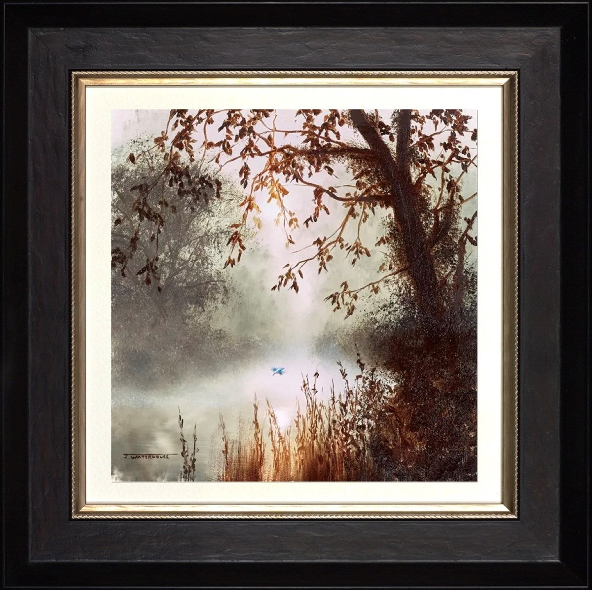 The Kingfisher (Framed)