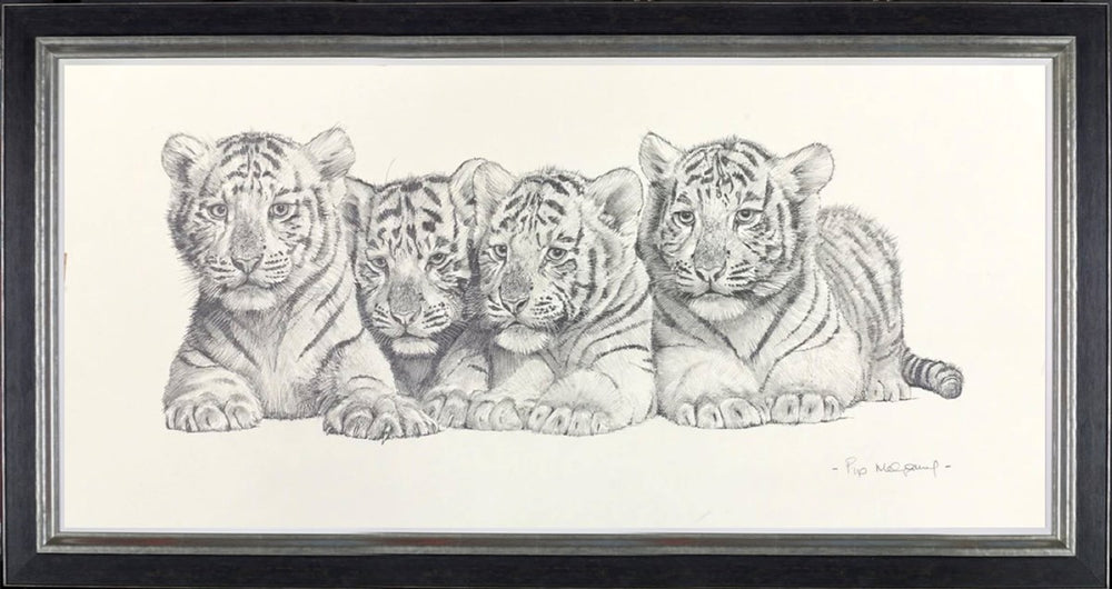 Four White Tiger Cubs (Framed)