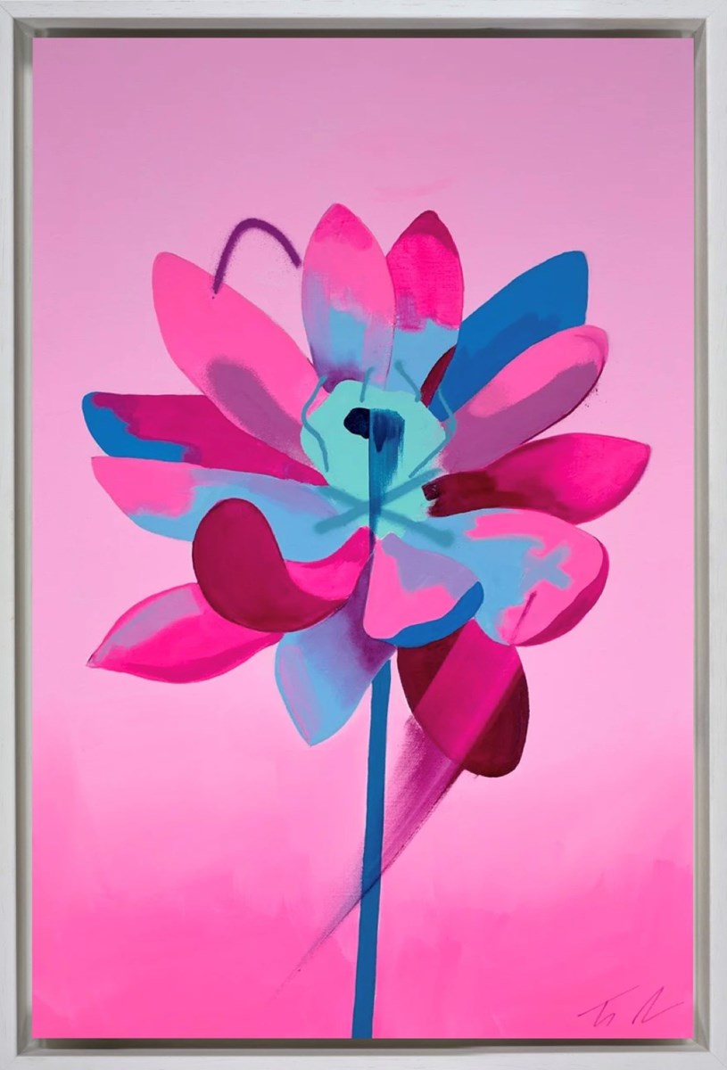 Stowaway Pink (Framed)