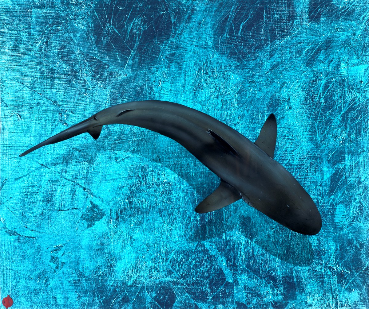 Duskey Blue