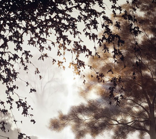 Roaming Free (Detail2)