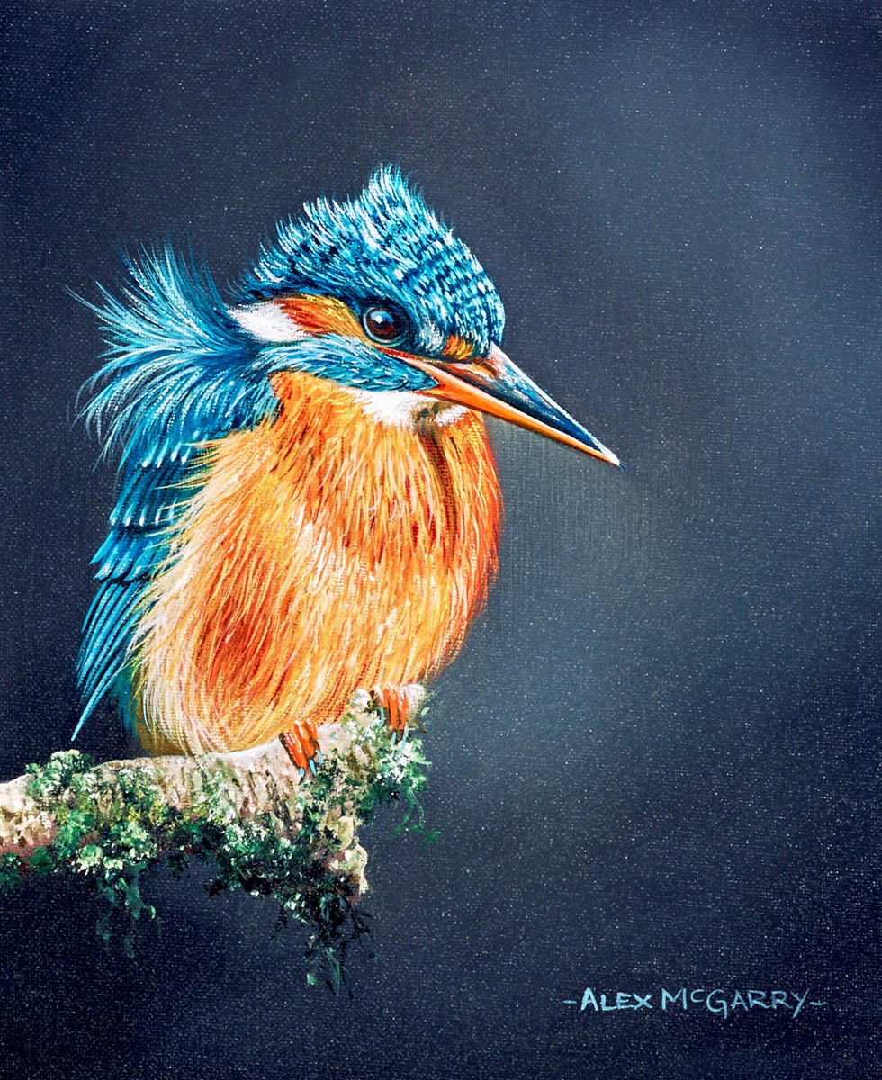 Kingfisher