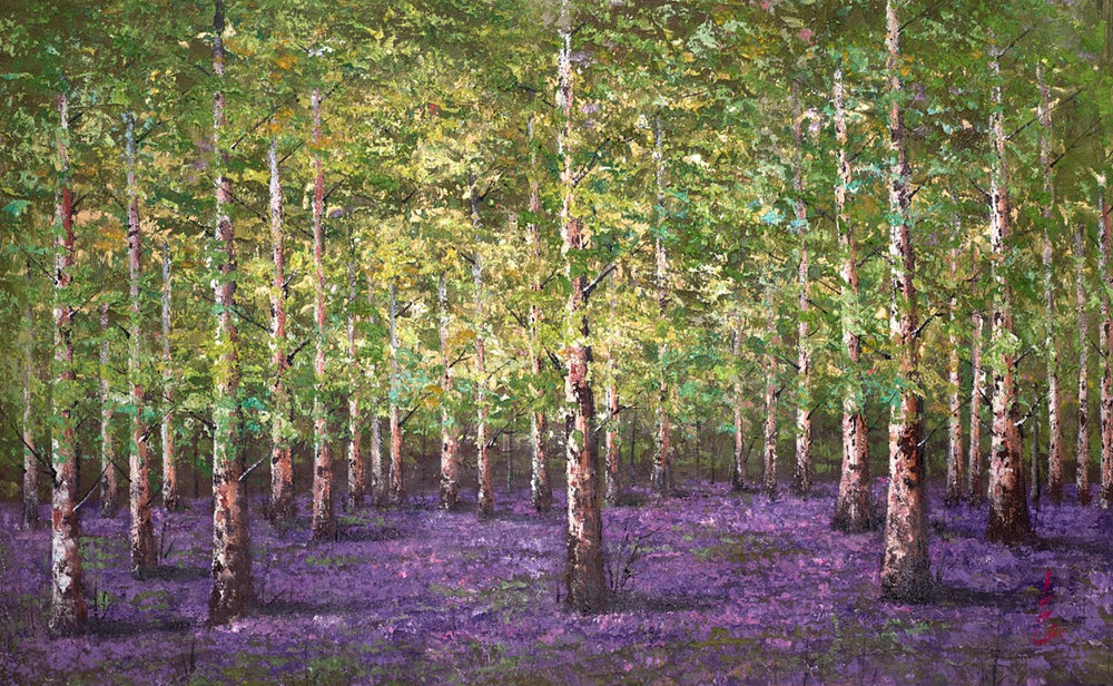 Enchanted Forest