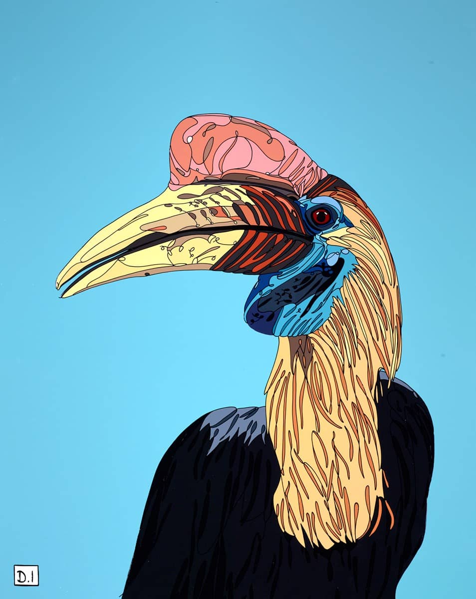 Hornbill II