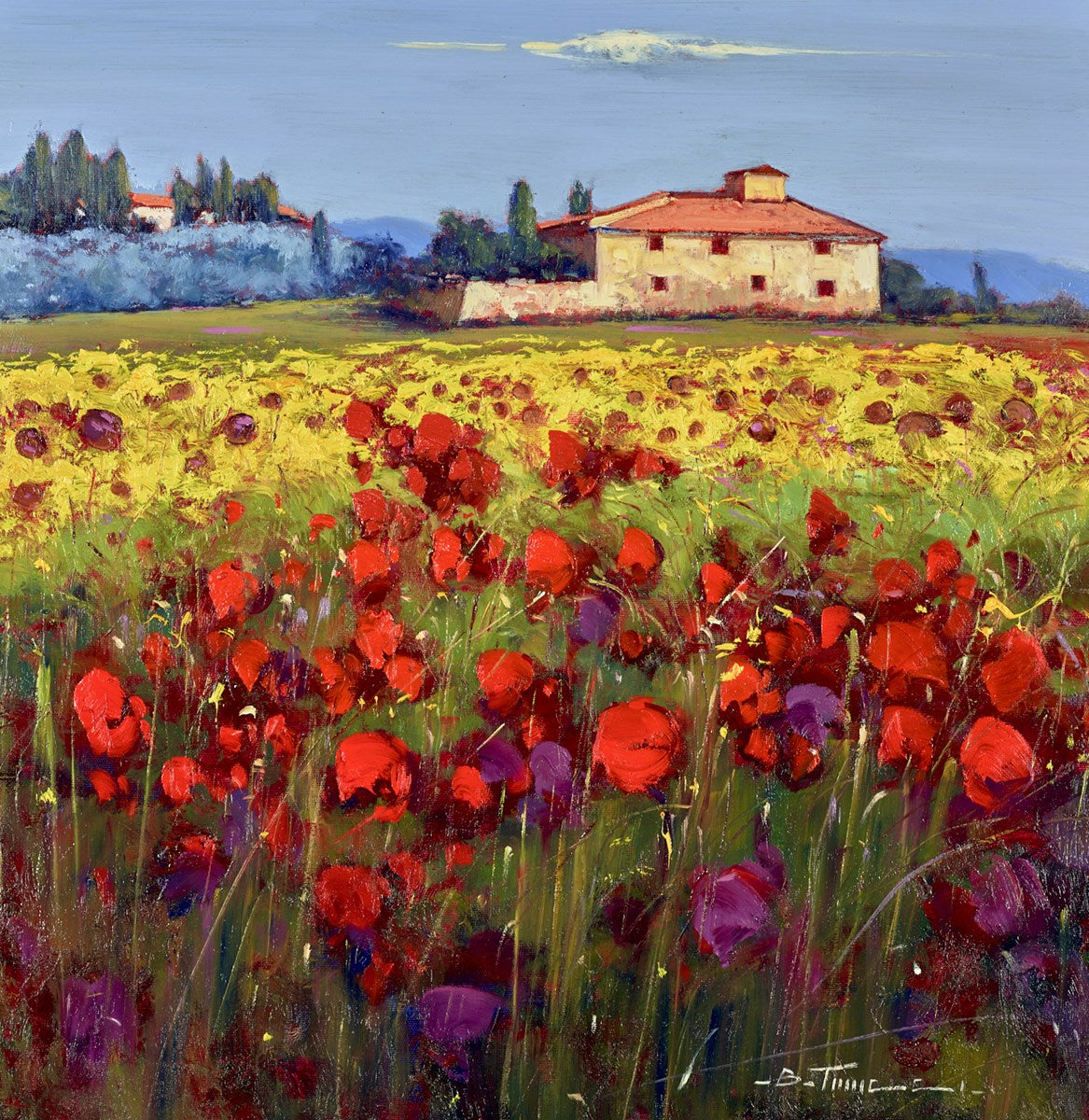Prati di papavero VI