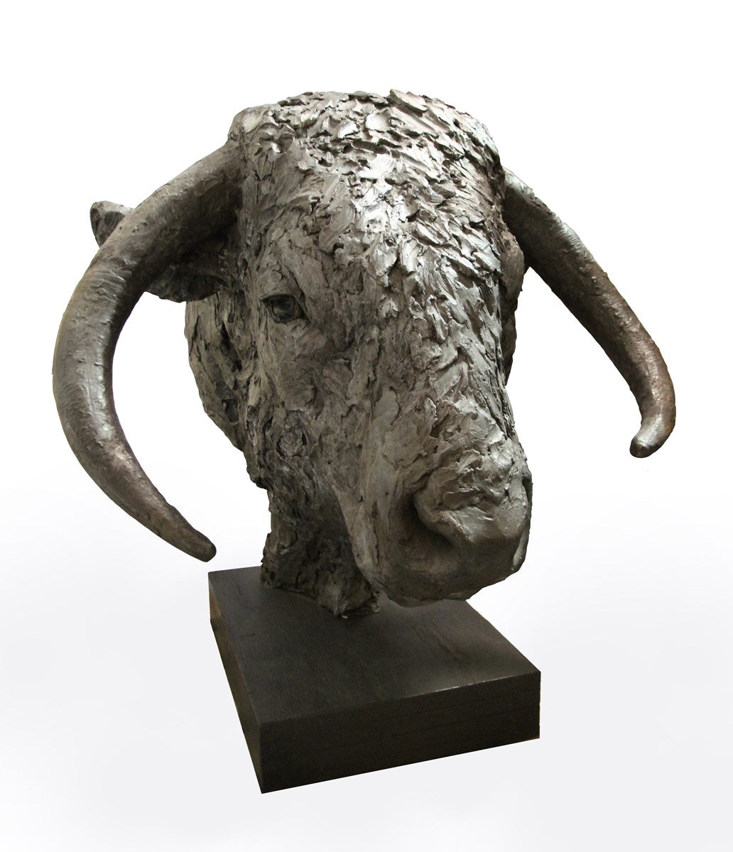 Longhorn Bull Head - 2017